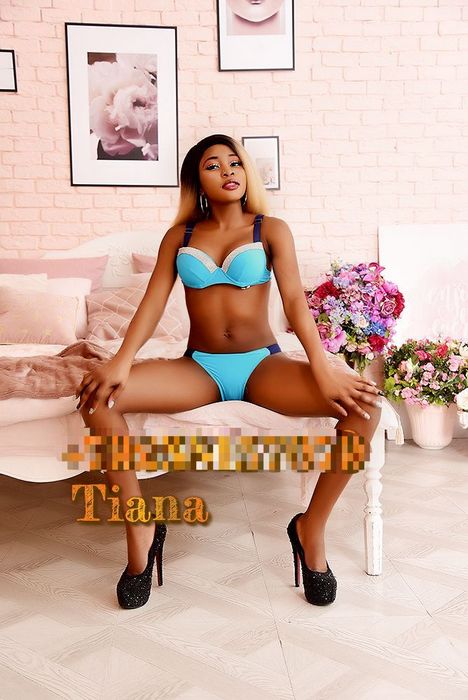 Свобода и Искусство: Жизнь Куртизанок без «Блокировок»